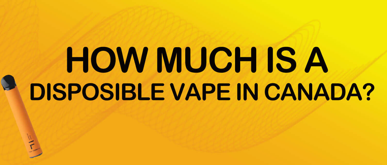 Cost of Disposable Vapes in Canada: A Quick Guide Clutch Vape Cost of Disposable Vapes in Canada: A Quick Guide Clutch Vape