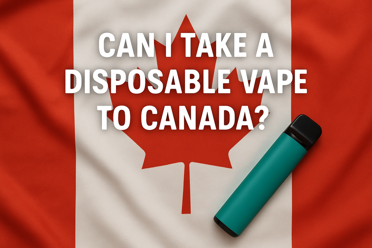 Can I Take a Disposable Vape to Canada? Clutch Vape Can I Take a Disposable Vape to Canada? Clutch Vape