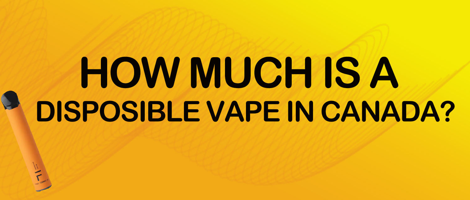 How Much Is a Disposable Vape in Canada?