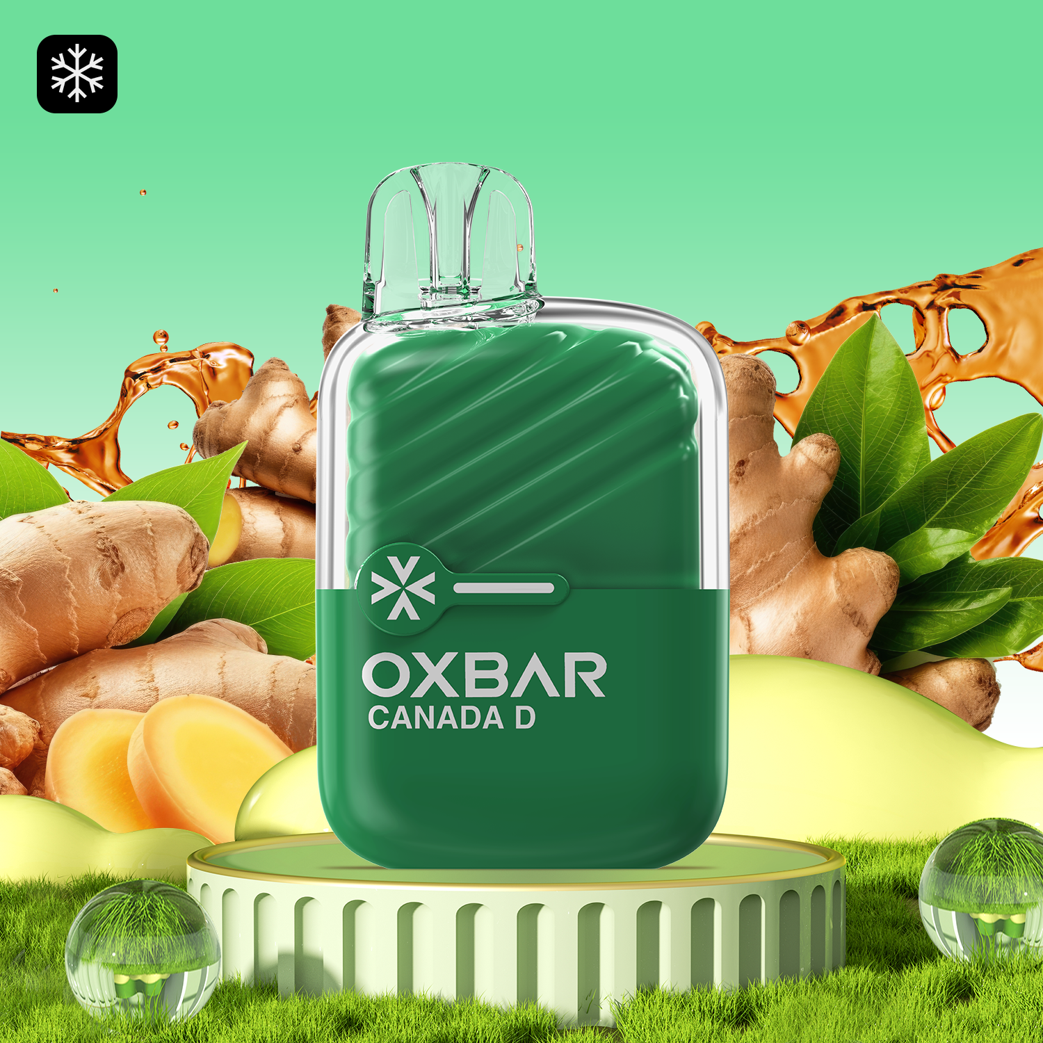 OXBAR MINI - CANADA D